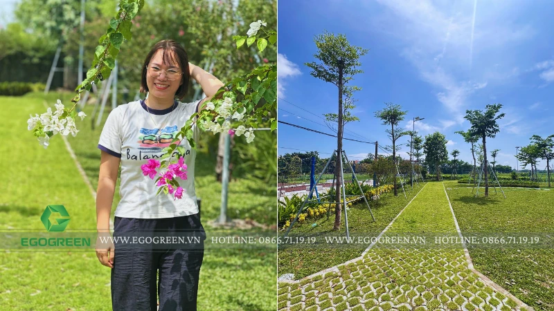 6 tháng sau khi hoàn thành, sân vườn thay đổi như thế nào? Hành trình "lột xác" của Homestay Kim Oanh